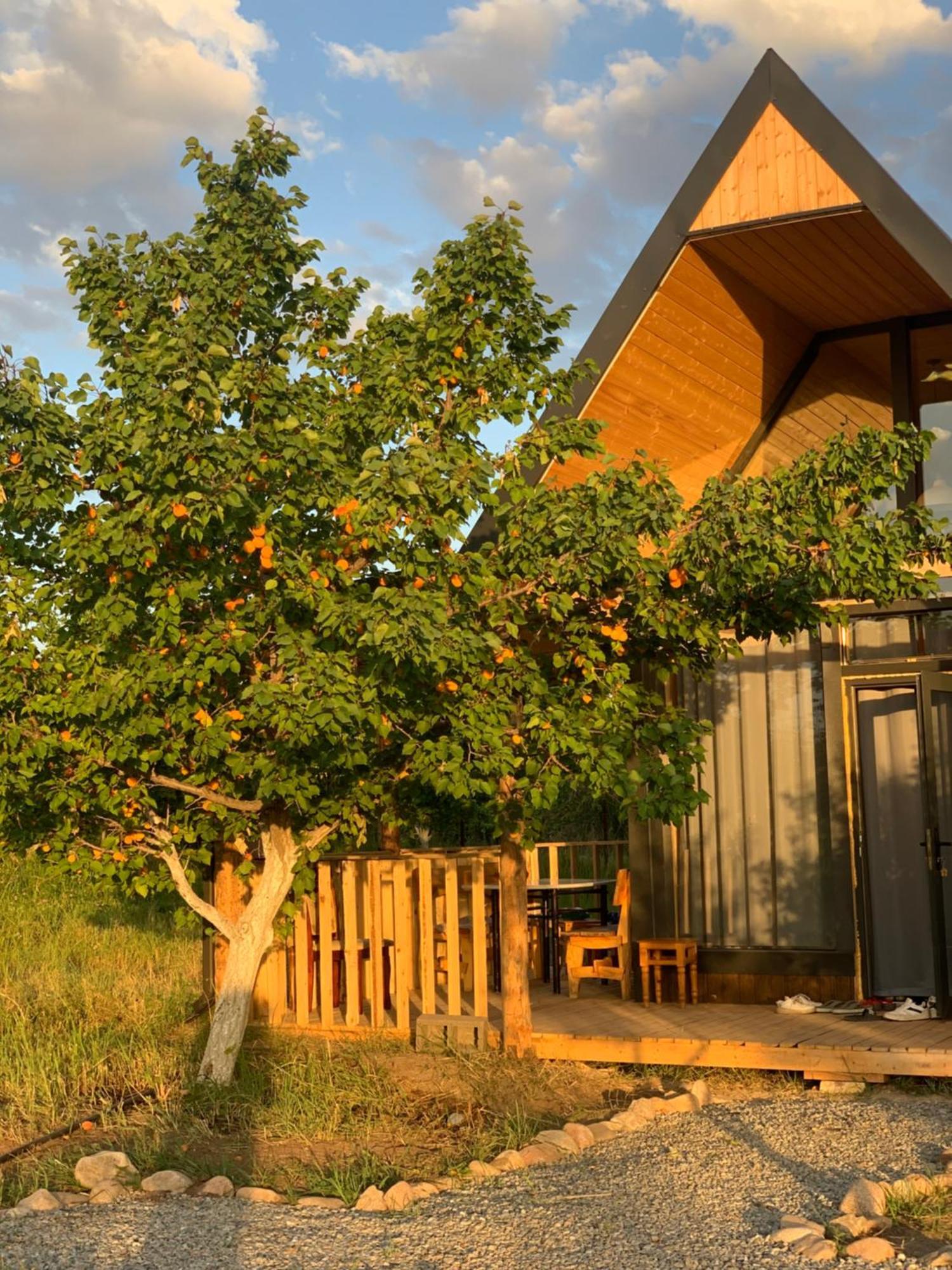 Tossor Coral Houses מראה חיצוני תמונה